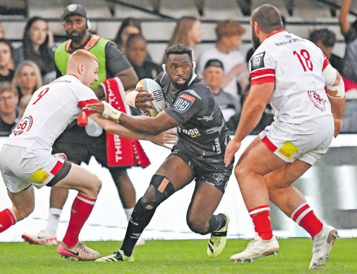 Scarlets clash shaping up as red-letter day for Sharks