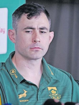 Springboks downplay 'revenge plotline'