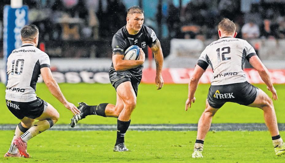Honest talks spark Sharks' gritty Champions Cup revival