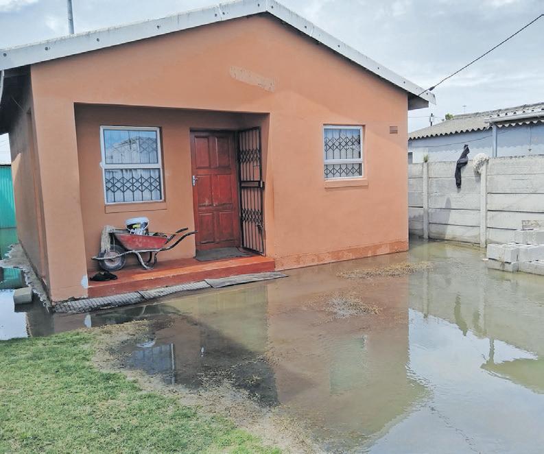 Makhaza residents suffer as sewage spill continues