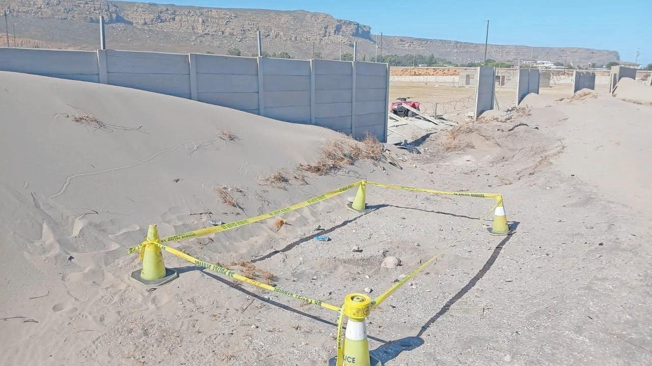 Investigation launched after human remains found