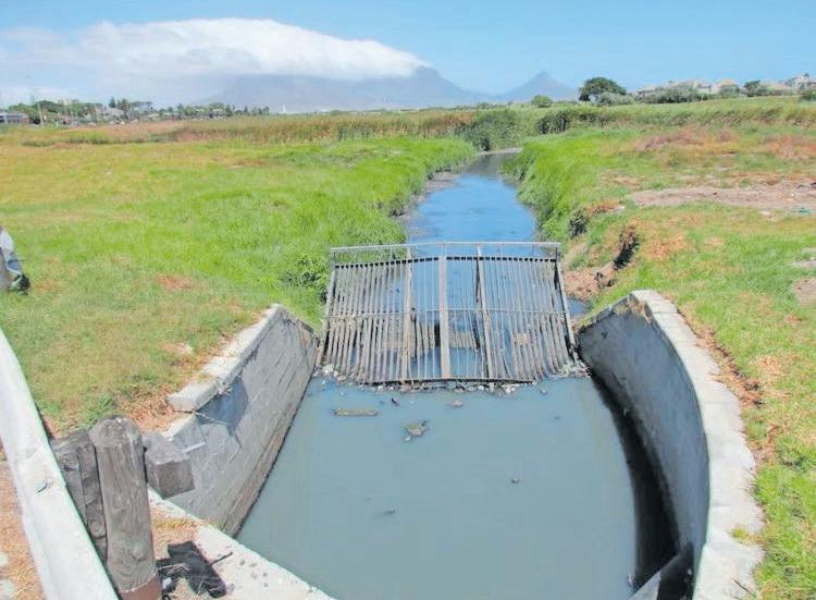 Activists question Milnerton Lagoon air quality assurances