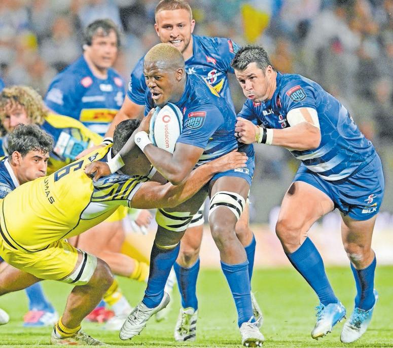 Why the Stormers' attack needs Dayimani back