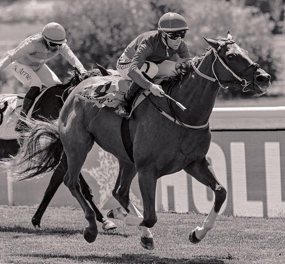 Jockey solidarity brings race day to an unexpected end