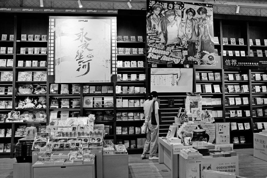 China crackdown: writers face fines and imprisonment