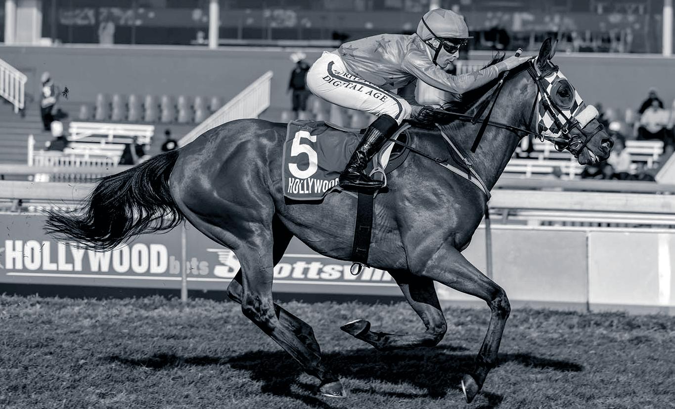Gallic Victor is more than promising