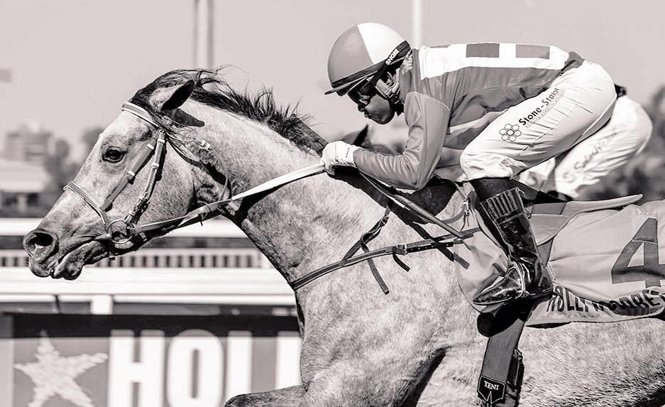 Black Eagle to exit the maiden ranks