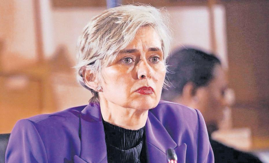 Move to scrap task team 'fell outside mandate' of minister