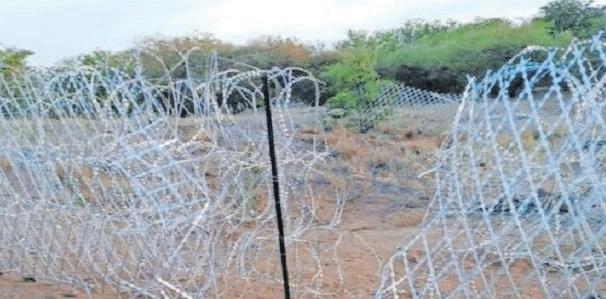 Breaking the chain: How SA's economic system fuels Zim migration