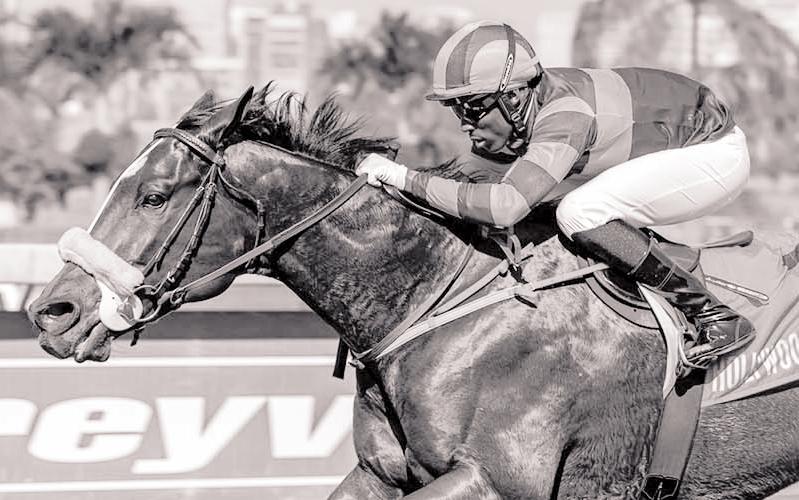 Mastership has the talent