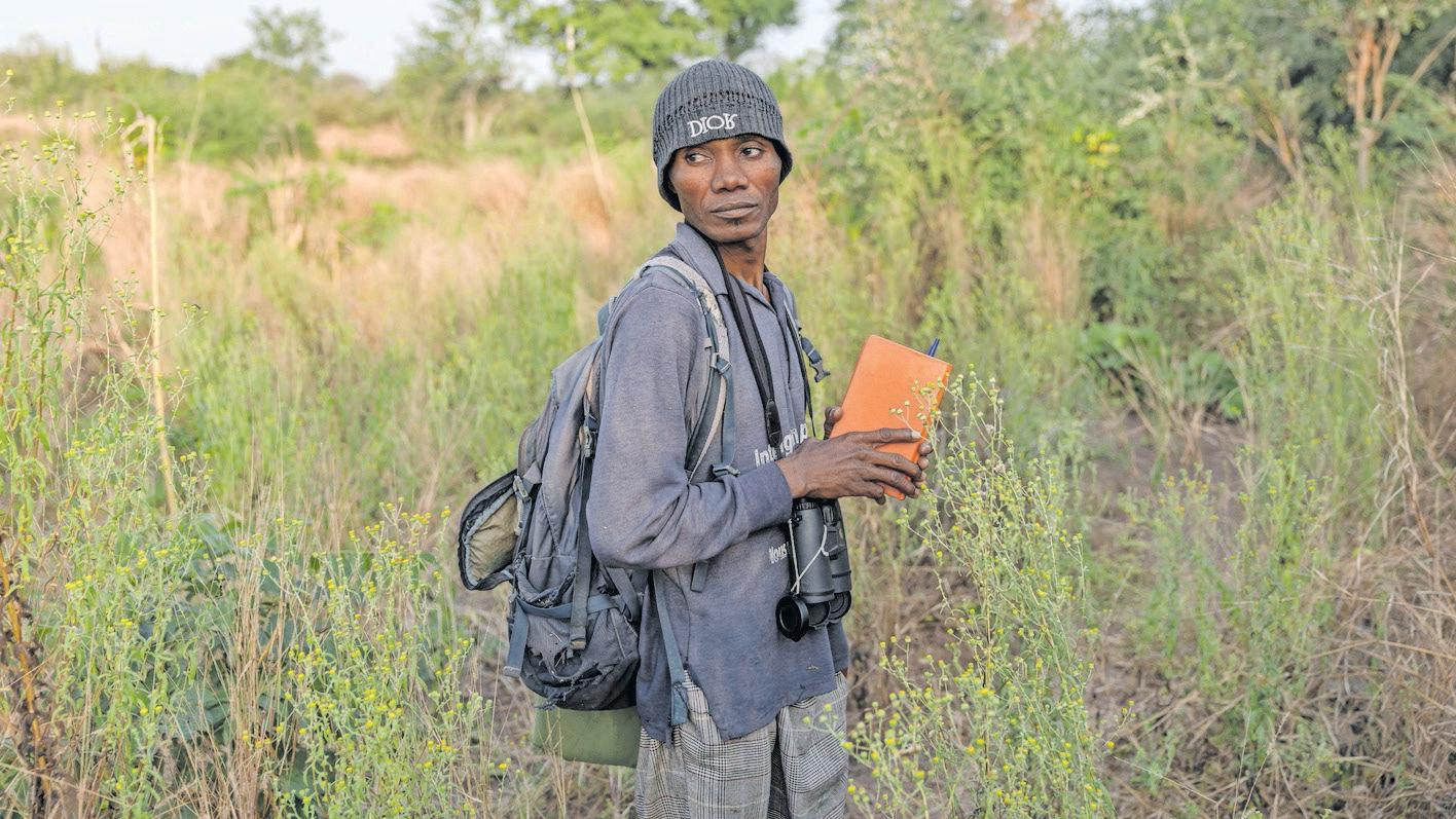 From mines to chimp research