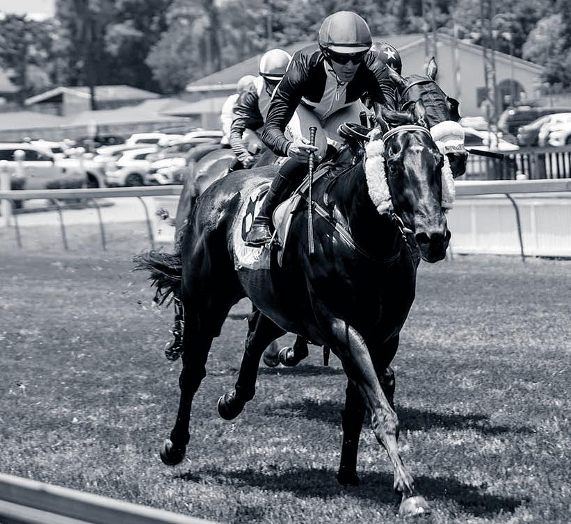 No stopping ‘Willie’ at Scottsville