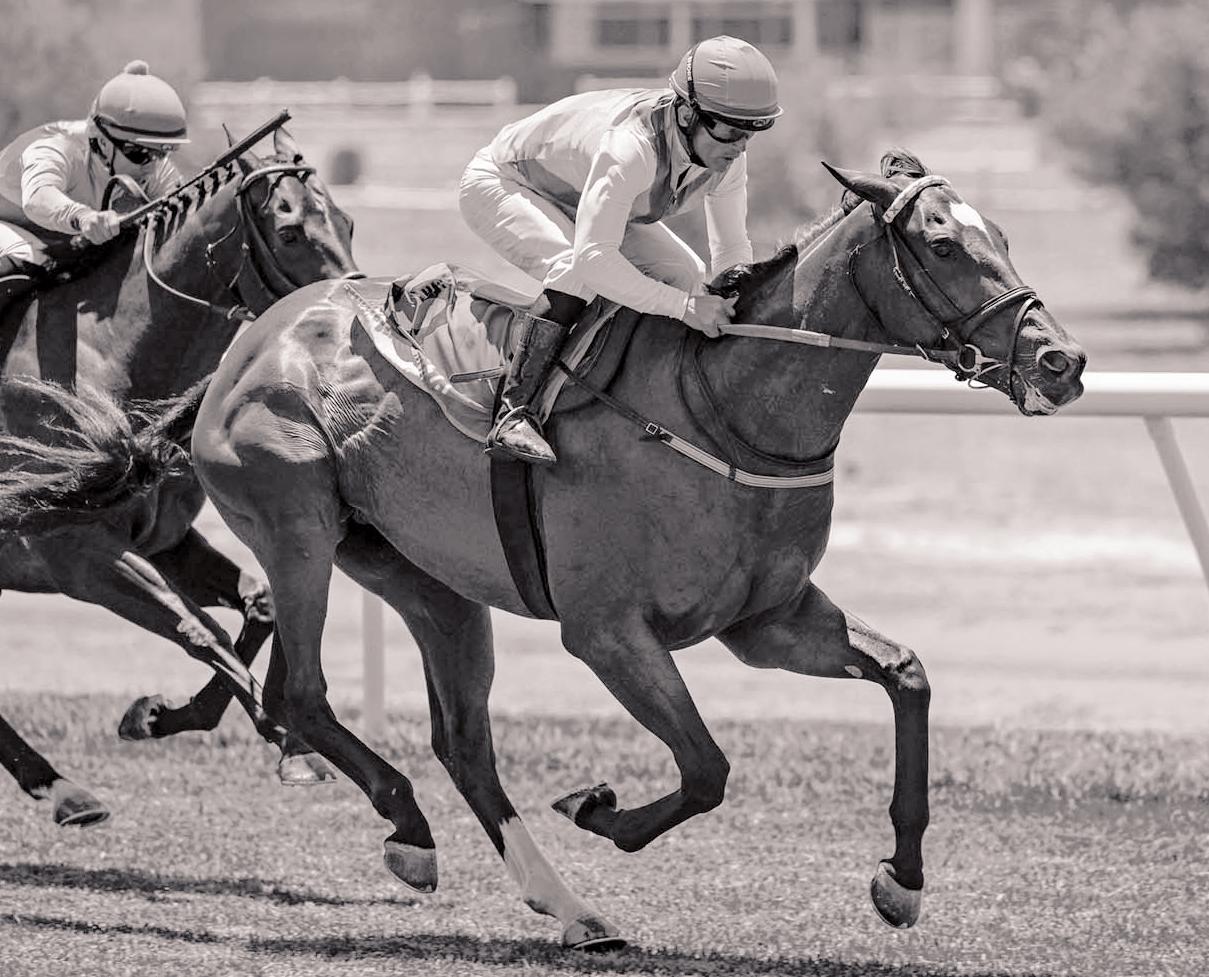 Sommerstern on the right track