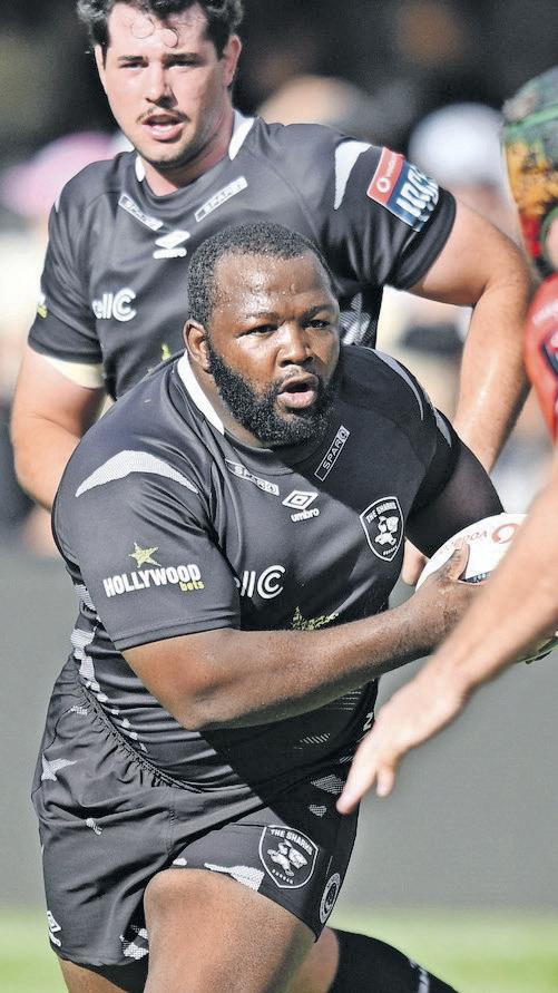 Sharks coach JP Pietersen demands clinical edge to sink the Bulls in URC derby