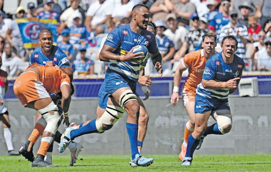 Stormers face crucial final four home games