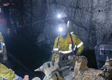 Mining industry pushes for zero harm as fatalities reach record low