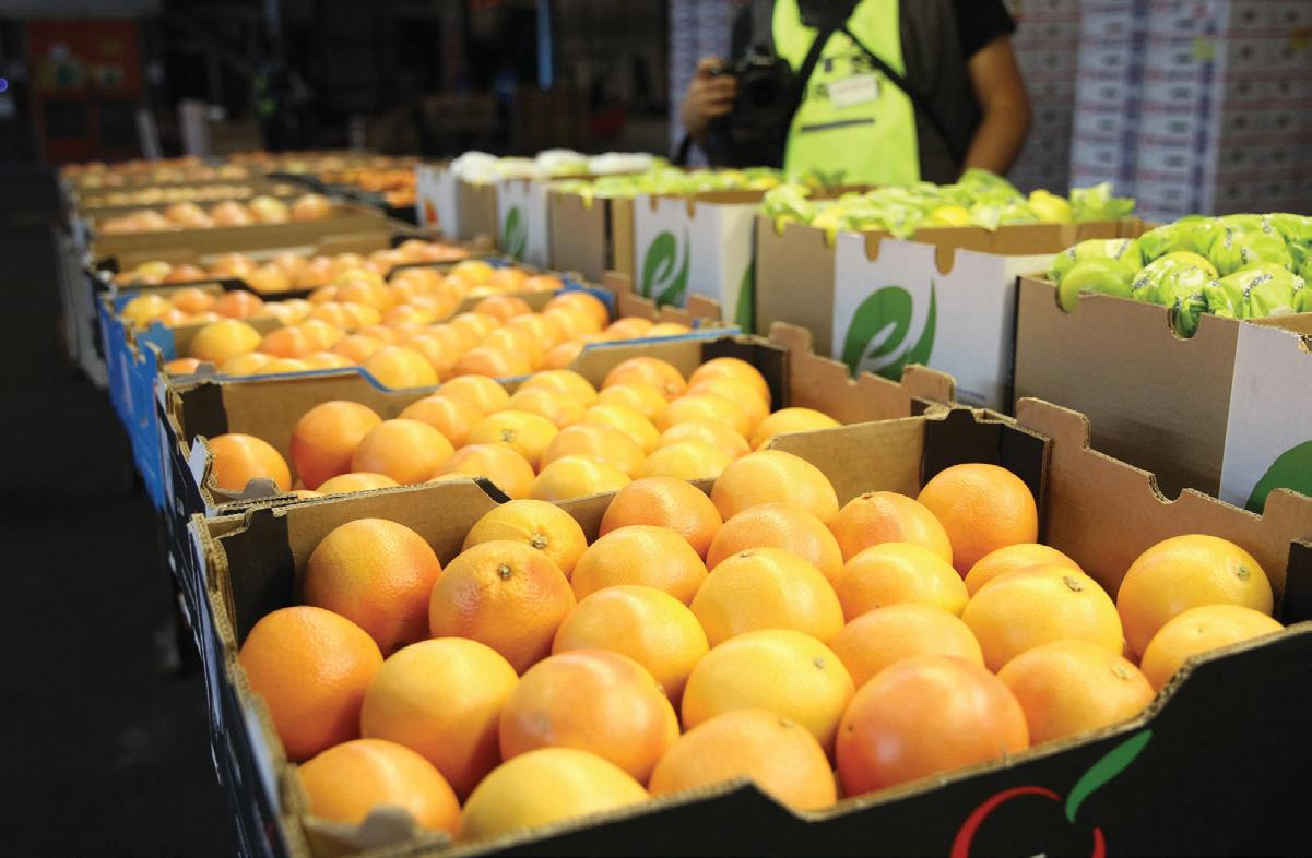 Market diversity is essential for SA’s agricultural exports amid geopolitics and trade risks