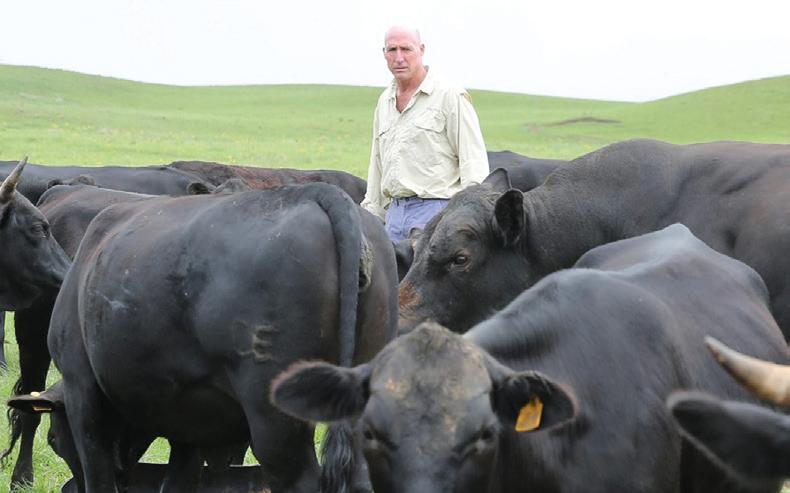 South African red meat producers concerned about market spillover effects of Trump tariffs