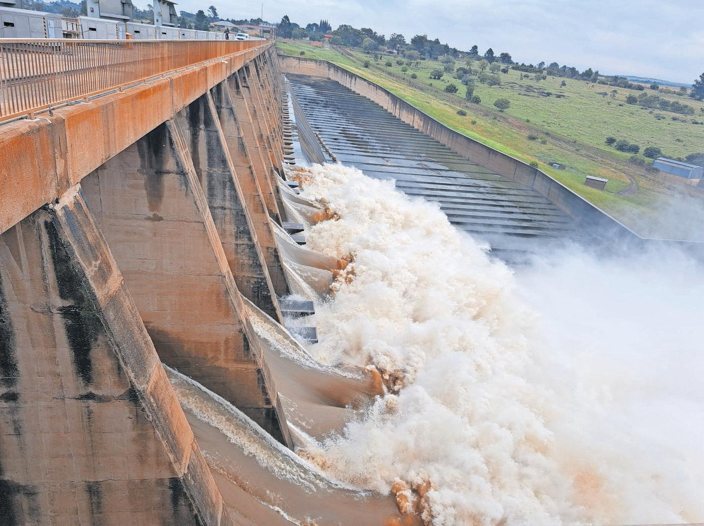 Domestic workers 17 year fight for identity