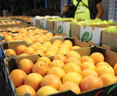 The agricultural sector can overcome the impact of potential Agoa exit