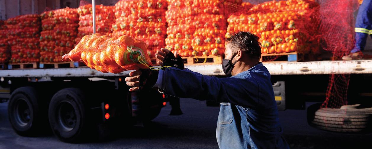 Citrus growers in South Africa call for urgent tariff negotiations with US