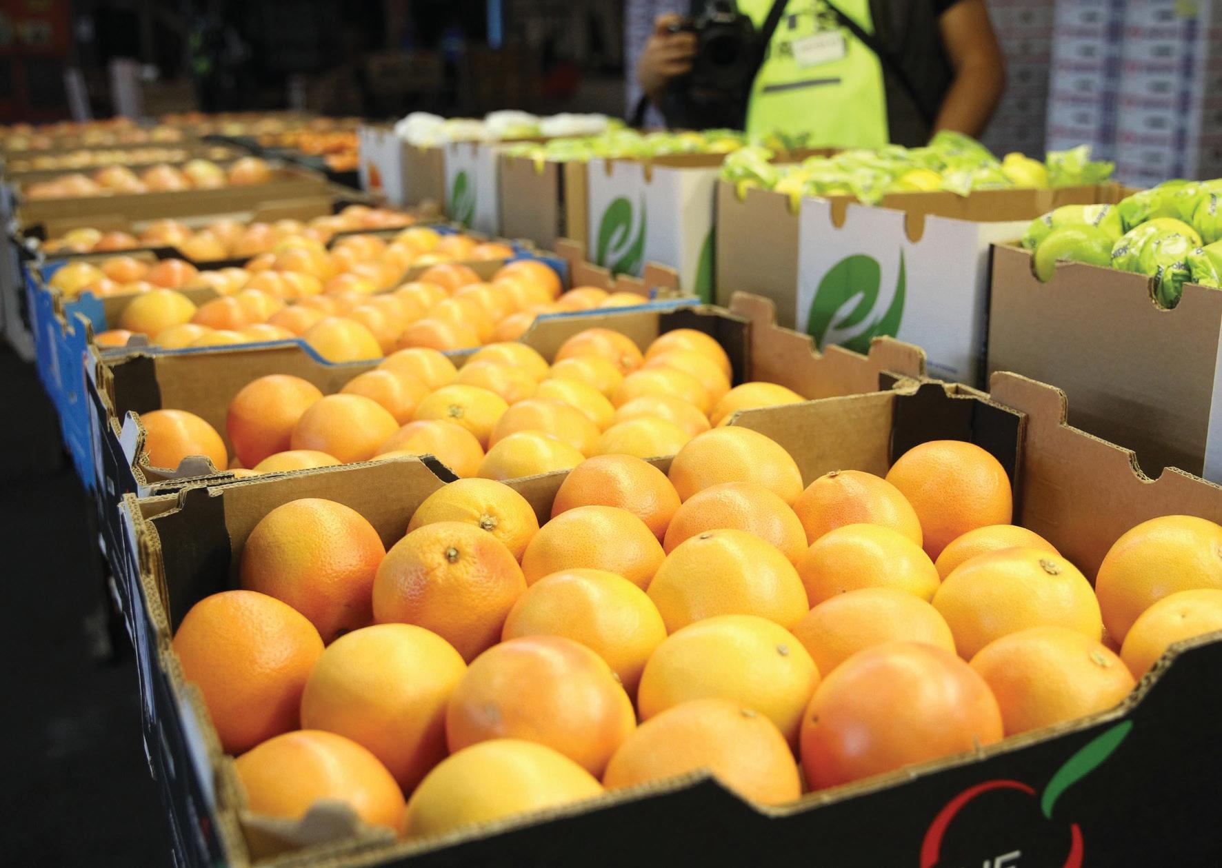 Impact of tariffs on SA citrus exporters will hinge on health of US consumer: Absa report