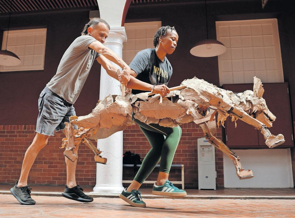 Officials implicated in deadly George building collapse could be criminally charged