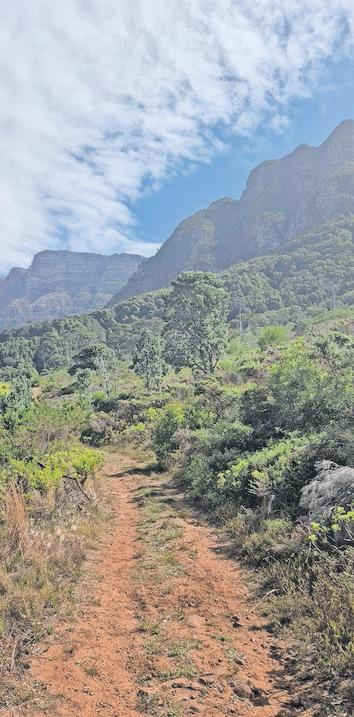 Police investigate attempted rape case after injured woman found on Devil’s Peak