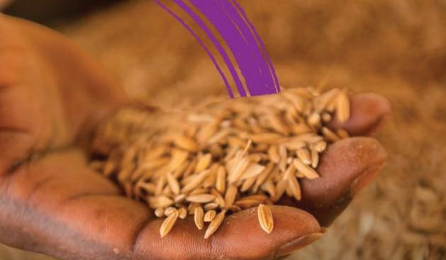 World Bank forecasts economic growth in Sub-Saharan Africa