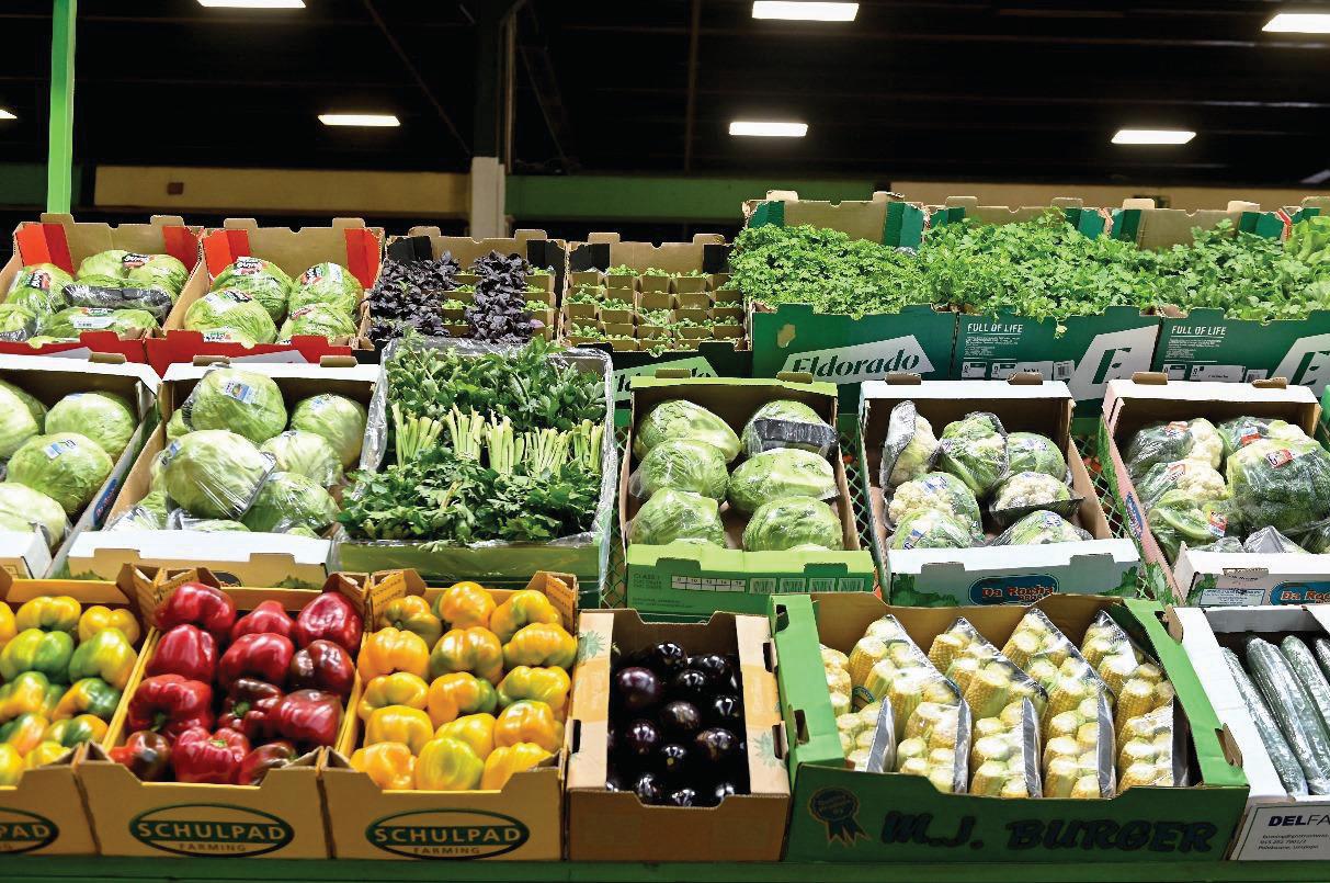 Johannesburg to host WUWM conference, focusing on Africa's fresh produce ambitions