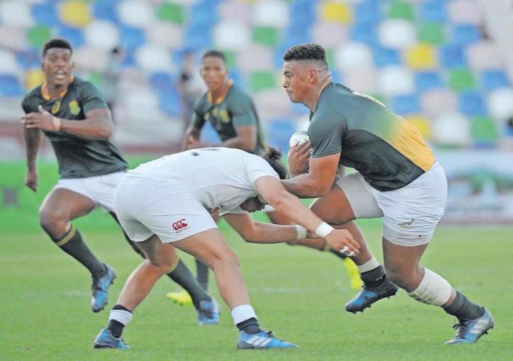 'Trokkie' has all the tools to drive Springboks at No 8