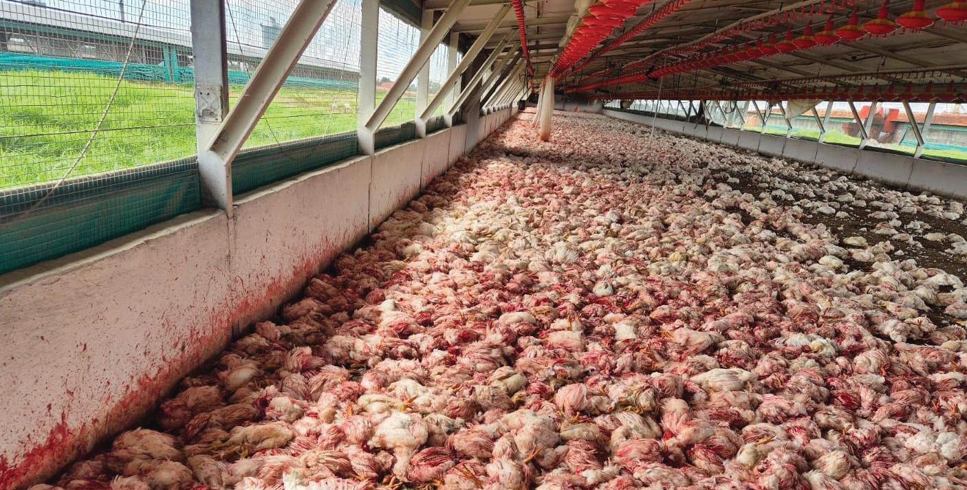 Daybreak Foods seeks PIC approval for business rescue as financial crisis escalates