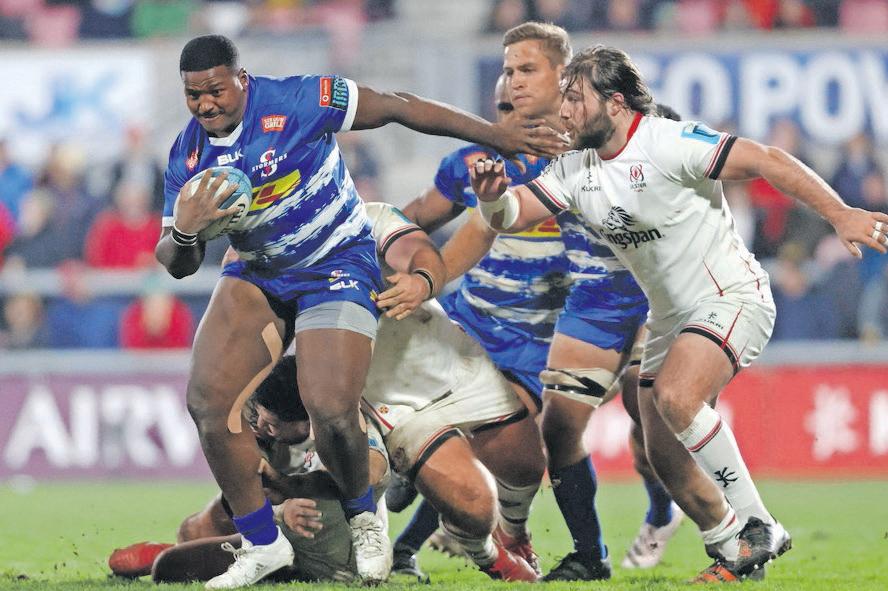 Dobson's youngsters poised to make big statement against the Dragons