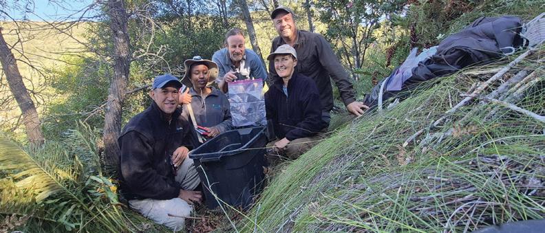 Long-tailed forest shrew makes appearance for first time in 46-years