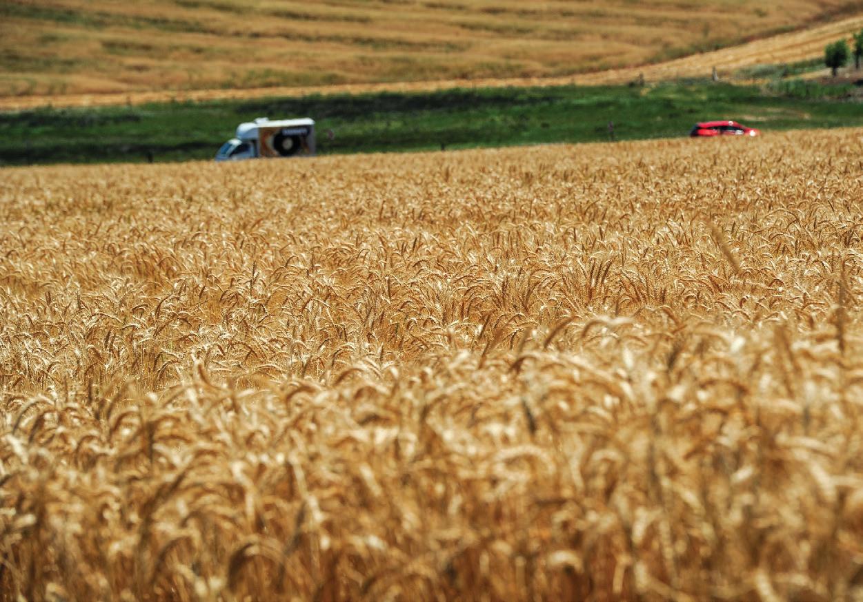 Nampo Harvest Day kicks off, spotlighting the future of South African agriculture