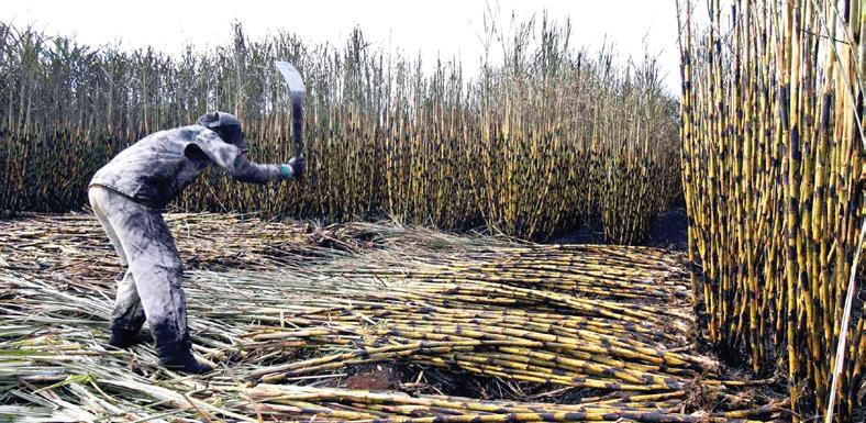 Tongaat Hulett's business rescue: Vision Consortium secures funding for lenders