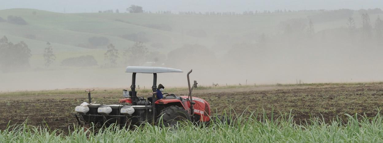 Rethinking the sugar tax in the time of global uncertainty: focus should be on jobs and the economy