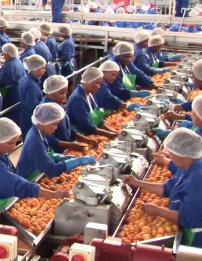 Tiger Brands secures future for 3 000 farm workers with sale of Langeberg fruit business