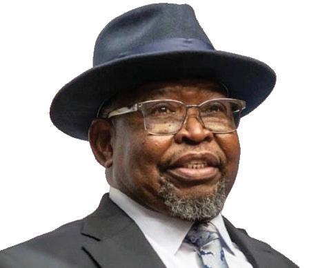 Godongwana proposes inflation-linked fuel levy to bolster revenue