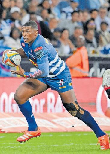 Bulls, Sharks, Stormers must win quarters after Champsions Cup no-shows