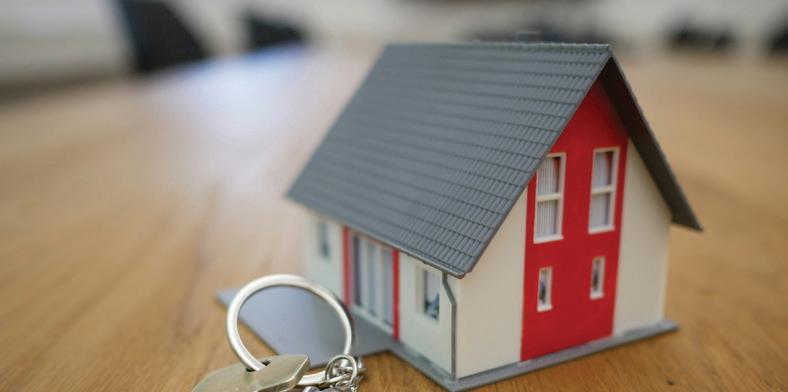 South African homeowners show resilience in property market amid challenges