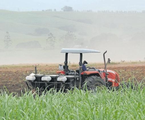 The real meaning of food security in South Africa