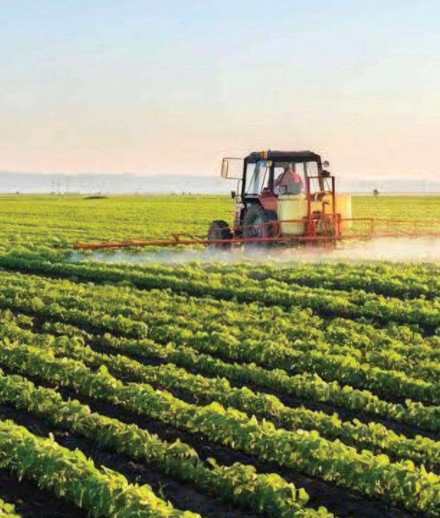 Addressing the agriculture, food security, and climate change nexus is an economic imperative