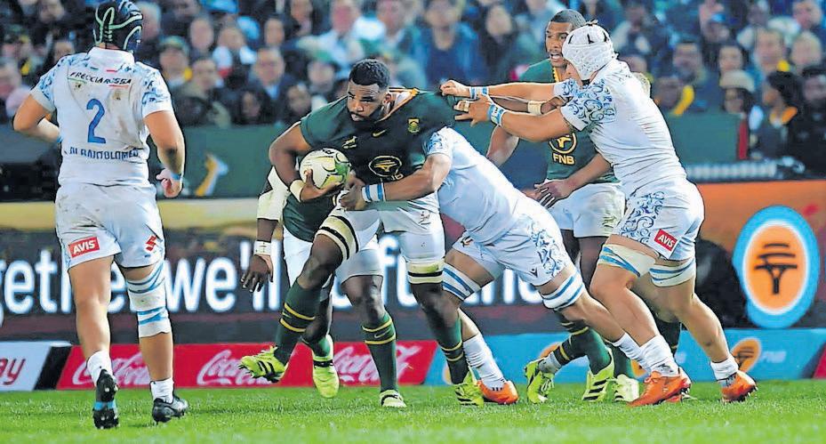 Erasmus to rethink Springbok selection