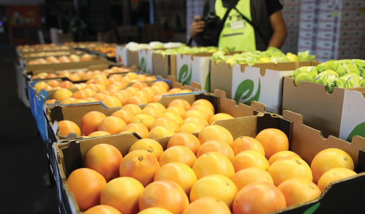 SA citrus industry urge swift negotiations to exempt seasonal produce from US tariffs