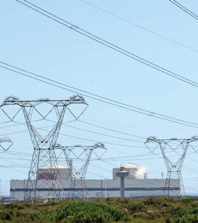 The role and future of nuclear-generated electricity in South Africa
