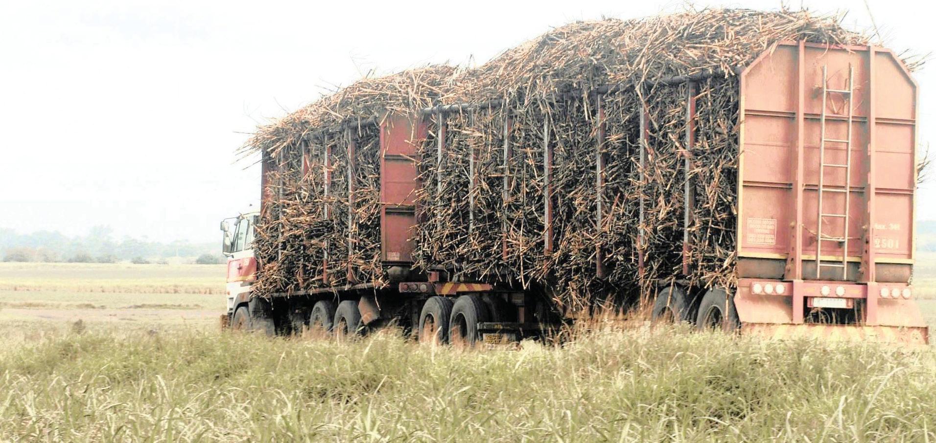 SA sugar industry set for improved harvest; yet tariff uncertainty threatens the sector's future