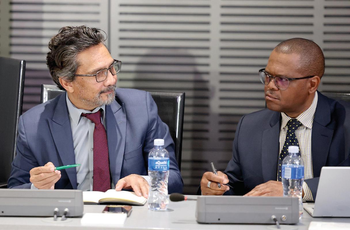 SA eyes diversification as jobs exodus looms over US import tariffs