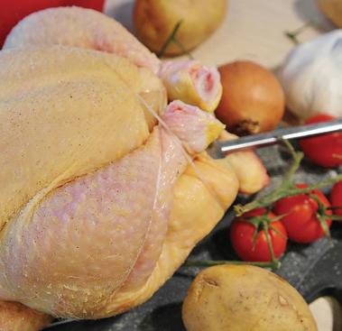 SA cannot afford any more delays to Brazil poultry imports by vet inspectors at the border