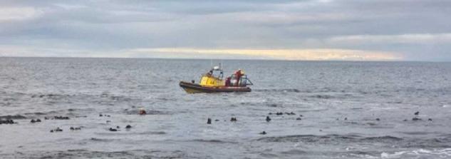 Inquest launched after three fishermen drown off Shelley Point